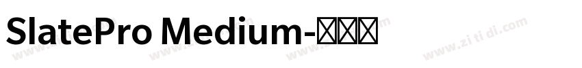 SlatePro Medium字体转换